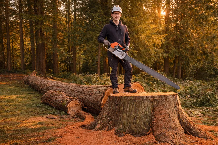 Paul Bennett of Root Down Tree Company standing on a large tree stump with a chainsaw.