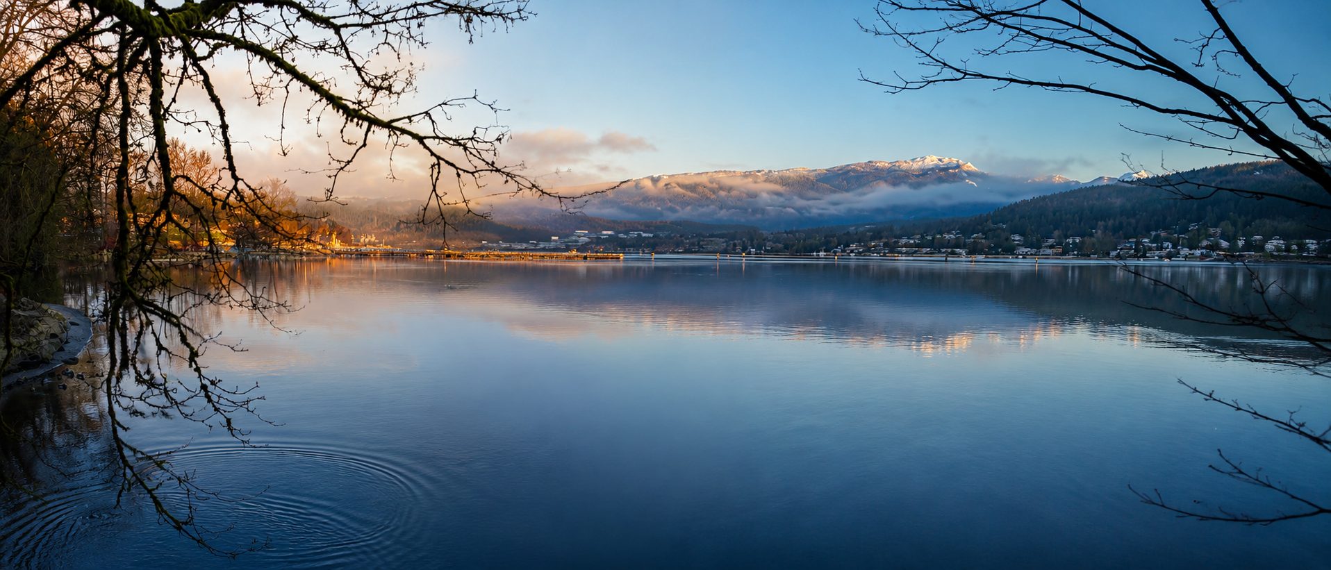 Calm view across Burrard Inlet in Port Moody with forested mountains, still water, and tree branches framing the shoreline.
